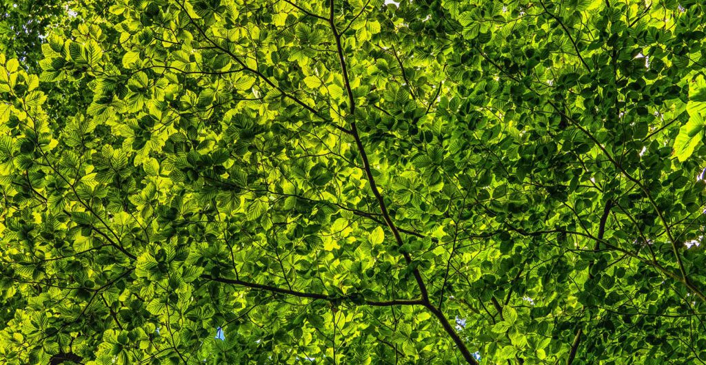 Freshmind työnohjaus